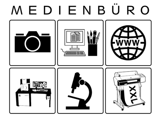 Medienbüro