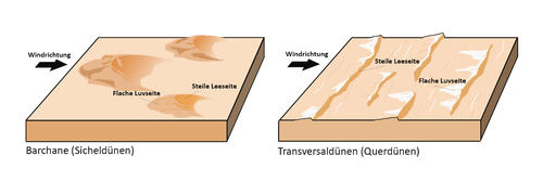 Schema zur Bildung von Dünen im Moreux Krater