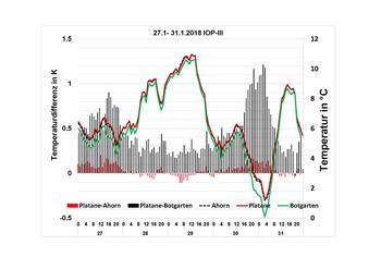 Temperaturverteilung unter Bäumen