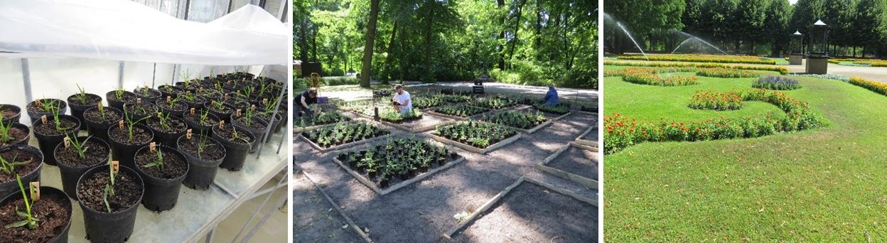 Topf-Parzelle-Südparterre