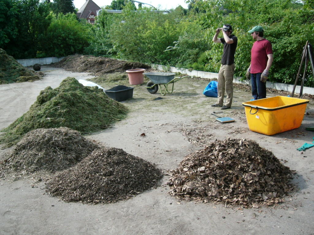 Großansatz-im-Botanischen-Garten