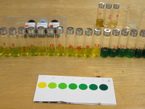 Ammoniumtest